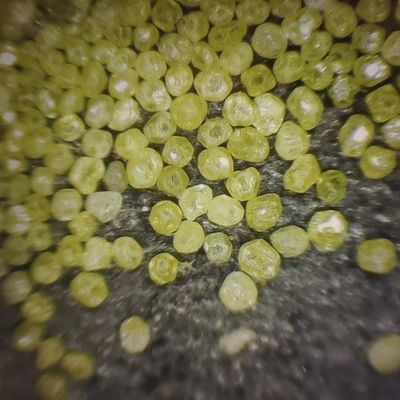 XINRUI-1 Abrasivo de grado profesional de polvo de diamante lapidario para la molienda de alambre de diamante