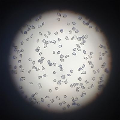Xinrui Diamond Powder Alta tasa de disipación térmica y características del diamante natural