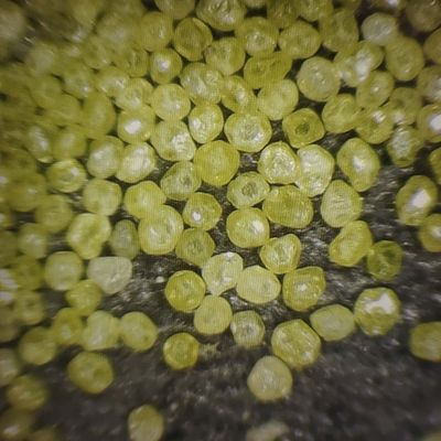 Mejorar su proceso de pulido de vidrio con Xinrui Industrial grates de polvo de diamantes